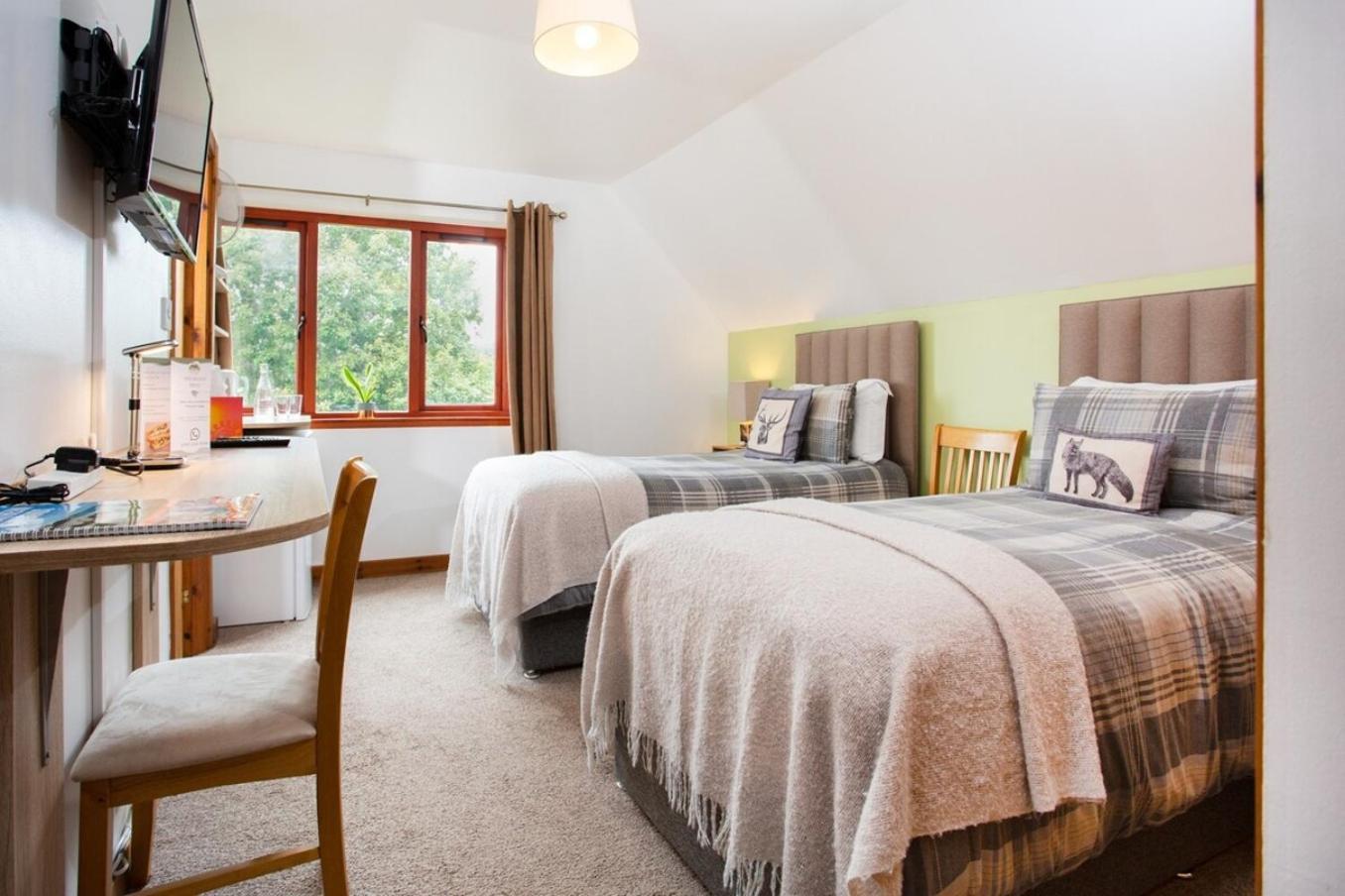 Beechwood Lodge Guesthouse Alness Ngoại thất bức ảnh